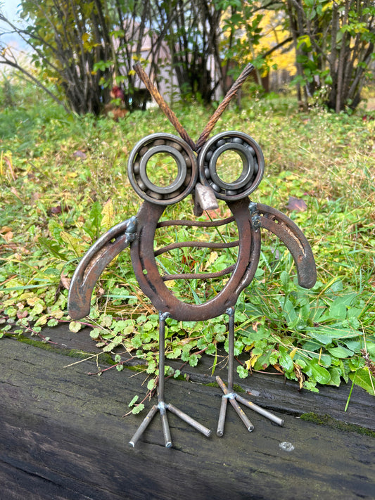 Horseshoe Owl
